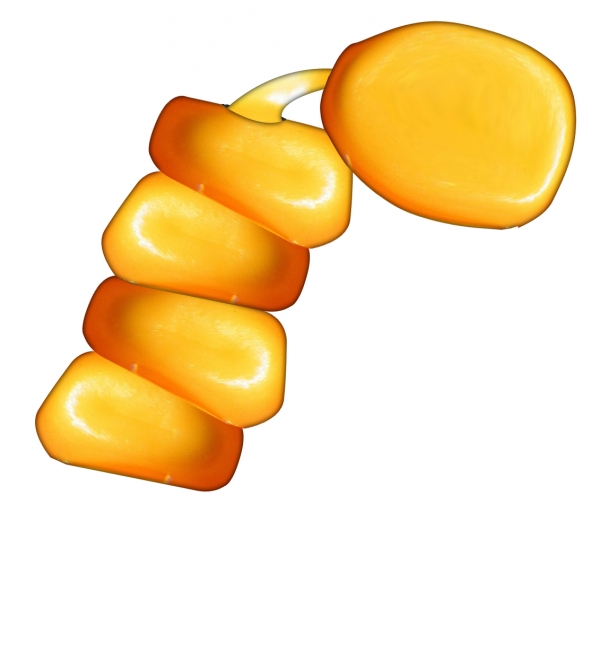 Creation of Corn alien with pet fly: Step 2